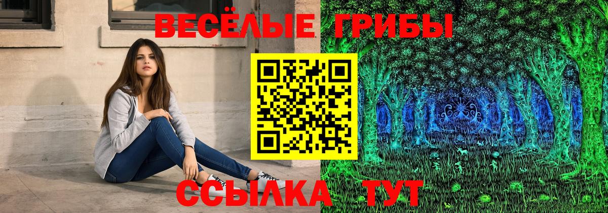 Галлюциногенные грибы мухоморы  Вход с VPN  продажа наркотиков  Ревда 
